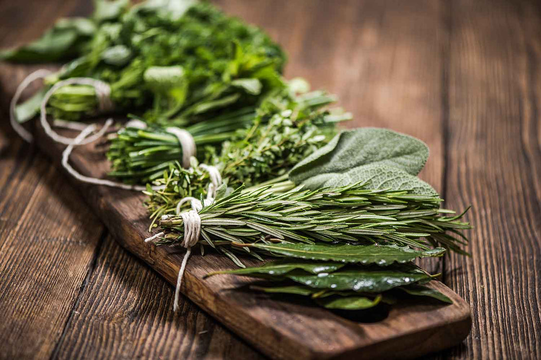 What Herbs to Use When Cooking to Enhance Nutrient Intake